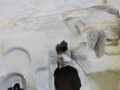 ковер салонный BMW X1 F48 2016, 2.0 л., B47 C20 A, дизель, АКПП, alpinweiss 3 (300), передний привод, правый руль, 51477382119, 7382119, 17478710, 174737, 174737-10 - фото №13
