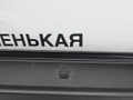 уплотнитель подкапотного пространства BMW X1 F48 2016, 2.0 л., B47 C20 A, дизель, АКПП, alpinweiss 3 (300), передний привод, правый руль, 51767329399, 7329399 - фото №7