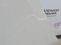 капот BMW X5 E70 [рестайлинг] 2011, 3.0 л., N55 B30 A, бензин, АКПП, белый, правый руль, 41617486754, 7486754 - фото №43