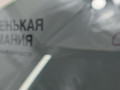 стекло двери передней левой BMW X5 M F85 2016, 4.4 л., S63 B44 B, бензин, АКПП, donington grau (c28), полный привод, 51337470631, 7470631, 51337283501, 7283501 - фото №5