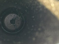 карданный вал BMW X1 F48 2017, 2.0 л., B48 A20 B, бензин, АКПП, alpinweiss 3 (300), полный привод, правый руль, 26108605878, 8605878, 8613133 - фото №25