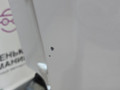 бампер задний BMW X5 F15 2014, 3.0 л., N57 D30 A, дизель, АКПП, mineralweiss metallic (a96), полный привод, правый руль, 51127384334, 7384334, 21128054021, 8054021 - фото №13