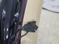крышка багажника (дверь 3-5) BMW X6 F16 2014, 3.0 л., N55 B30 A, бензин, АКПП, красный, правый руль, 41007424458, 63217314863, 63217314864, 7314863, 7314864 - фото №44