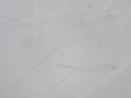 бачок омывателя BMW 6 серия F06/F12/F13 2012, 4.4 л., N63 B44 B, бензин, АКПП, alpinweiss 3 (300), хетчбэк 5 дв., задний привод, правый руль, 8050439, 7269663, 7269664, 7269665, 7269666 - фото №12