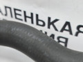 патрубок радиатора BMW 6 серия F06/F12/F13 2012, 4.4 л., N63 B44 B, бензин, АКПП, alpinweiss 3 (300), хетчбэк 5 дв., задний привод, правый руль, 64539119174, 9119174 - фото №5