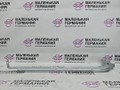 кронштейн (крепление) BMW 6 серия F06/F12/F13 2012, 4.4 л., N63 B44 B, бензин, АКПП, alpinweiss 3 (300), хетчбэк 5 дв., задний привод, правый руль, 61139182927, 9182927 - фото №3