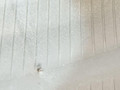шина BMW X1 F48 2017, 2.0 л., B48 A20 B, бензин, АКПП, alpinweiss 3 (300), полный привод, правый руль, 6856067, 36116856067 - фото №14