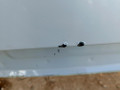 крыша BMW X5 F15 2014, 3.0 л., N57 D30 A, дизель, АКПП, mineralweiss metallic (a96), полный привод, правый руль, 41317352120, 7352120 - фото №7
