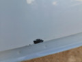 крыша BMW X5 F15 2014, 3.0 л., N57 D30 A, дизель, АКПП, mineralweiss metallic (a96), полный привод, правый руль, 41317352120, 7352120 - фото №72
