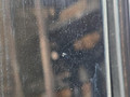 Панорамная крыша BMW X5 F15 2013, 3.0 л., N57 D30 A, дизель, АКПП, mineralweiss metallic (a96), внедорожник 5 дв., полный привод, правый руль, 54137386959, 7386959, 54137386961, 7386961, 51448059025, 8059025 - фото №8
