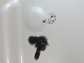 крышка багажника (дверь 3-5) BMW X5 F15 2014, 3.0 л., N57 D30 A, дизель, АКПП, mineralweiss metallic (a96), полный привод, правый руль, 41007378121, 7378121 - фото №6