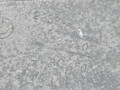 кронштейн КПП BMW 5 серия G30/G31 G30 2019, 4.4 л., N63 B44 C, бензин, АКПП, carbonschwarz metallic (416), седан, полный привод, 22329485312, 9485312 - фото №8