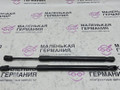 амортизатор капота BMW X6 F16 2014, 3.0 л., N55 B30 A, бензин, АКПП, красный, правый руль, 51237294524, 7294524 - фото №3