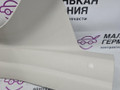 комплект накладок на пороги (внутренние) BMW 6 серия F06/F12/F13 2012, 4.4 л., N63 B44 B, бензин, АКПП, alpinweiss 3 (300), хетчбэк 5 дв., задний привод, правый руль, 51437274419, 51437274420, 51437274421, 51437274422, 7274419, 7274420, 7274421, 7274422 - фото №13