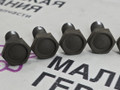 болт двигателя BMW Z4 E85 2003, 2.5 л., M54 B25 (256S5), бензин, АКПП, black sapphire metallic (475), кабриолет, 11227805885, 7805885 - фото №5