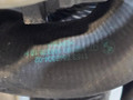 двигатель BMW X6 F16 2014, 3.0 л., N55 B30 A, бензин, АКПП, красный, правый руль, 11002285394, 2285394, 11002285395, 2285395, 7585979 - фото №127