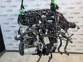 двигатель BMW X1 F48 2016, 2.0 л., B47 C20 A, дизель, АКПП, alpinweiss 3 (300), передний привод, правый руль, 851397905, 851398205, 11002361998, 2361998, 24008687015, 8687015 - фото №11
