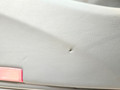дверь передняя левая Mercedes-Benz E-Класс W213/S213/C238/A238 2018, 2.0 л., M 274.920, бензин, АКПП, 149 polar white или polarweiss, седан, задний привод, правый руль, A2137200105 - фото №49