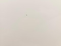 дверь передняя левая Mercedes-Benz E-Класс W213/S213/C238/A238 2018, 2.0 л., M 274.920, бензин, АКПП, 149 polar white или polarweiss, седан, задний привод, правый руль, A2137200105 - фото №70