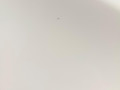дверь передняя левая Mercedes-Benz E-Класс W213/S213/C238/A238 2018, 2.0 л., M 274.920, бензин, АКПП, 149 polar white или polarweiss, седан, задний привод, правый руль, A2137200105 - фото №71