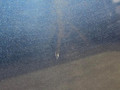 дверь передняя левая BMW X3 G01 2019, 2.0 л., B48B20C, бензин, АКПП, c1m phytonic-blau metallic, внедорожник 5 дв., полный привод, 41007465527, 7465527, 41002459940, 2459940 - фото №8