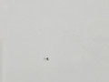 дверь задняя правая BMW X5 F15 2013, 3.0 л., N57 D30 A, дизель, АКПП, 300 alpinweiss iii, полный привод, правый руль, 41517386740, 7386740 - фото №8