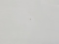 дверь задняя левая BMW X5 F15 2013, 3.0 л., N57 D30 A, дизель, АКПП, 300 alpinweiss iii, полный привод, правый руль, 41517386739, 7386739 - фото №6