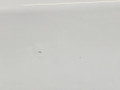 дверь задняя левая BMW X5 F15 2013, 3.0 л., N57 D30 A, дизель, АКПП, 300 alpinweiss iii, полный привод, правый руль, 41517386739, 7386739 - фото №20