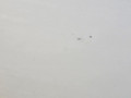 дверь задняя левая BMW X5 F15 2013, 3.0 л., N57 D30 A, дизель, АКПП, 300 alpinweiss iii, полный привод, правый руль, 41517386739, 7386739 - фото №5