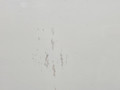 дверь передняя правая BMW X5 F15 2013, 3.0 л., N57 D30 A, дизель, АКПП, 300 alpinweiss iii, полный привод, правый руль, 41517386738, 7386738 - фото №6