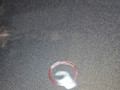 крышка багажника (дверь 3-5) Mercedes-Benz C-Класс W205/S205/C205 W205.042 2014, 2.0 л., M 274.920, бензин, АКПП, 755 серый, седан, задний привод, правый руль, A2057500075 - фото №19