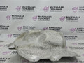 тепловой экран глушителя BMW X3 G01 2019, 2.0 л., B48B20C, бензин, АКПП, c1m phytonic-blau metallic, внедорожник 5 дв., полный привод, 51487394802, 7394802 - фото №4