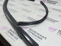 Комплект молдингов BMW X4 F26 2014, 2.0 л., N20 B20 A, бензин, АКПП, 475 black sapphire metallic, полный привод, правый руль, 51767349335, 7349335, 51767364749, 51337335621, 51337335613, 51317335505, 51337335483, 7364749, 7335621, 7335613, 7335505, 7335483 - фото №9