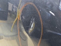 капот BMW X5 G05 2021, 3.0 л., B58B30C, бензин, АКПП, черный, внедорожник 5 дв., полный привод, 7189921, 7214633, 7214634, 12161700, 41007492375, 7492375 - фото №7