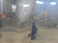 капот BMW 8 серия G14/G15 G15 2021, 4.4 л., N63B44D, бензин, АКПП, черный, купе, полный привод, 7464711, 41007464711 - фото №7