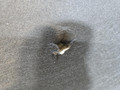 капот BMW 8 серия G14/G15 G15 2021, 4.4 л., N63B44D, бензин, АКПП, черный, купе, полный привод, 7464711, 41007464711 - фото №90