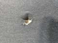 капот BMW 8 серия G14/G15 G15 2021, 4.4 л., N63B44D, бензин, АКПП, черный, купе, полный привод, 7464711, 41007464711 - фото №91