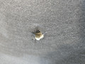 капот BMW 8 серия G14/G15 G15 2021, 4.4 л., N63B44D, бензин, АКПП, черный, купе, полный привод, 7464711, 41007464711 - фото №92