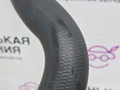 патрубок (трубопровод, шланг) Mercedes-Benz C-Класс W205/S205/C205 W205.042 2014, 2.0 л., M 274.920, бензин, АКПП, 755 серый, седан, задний привод, правый руль, A2055010082 - фото №8