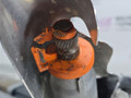 рулевая рейка BMW X6 F16 2015, 3.0 л., N57 D30 A, дизель, АКПП, carbon-schwarz (416), полный привод, правый руль, 32106873111, 6873111, 7369110001, 6868420, 32106866280, 6866280, 13070800135000004, 32106868420, 32105A24385, 5A24385 - фото №11
