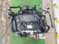 двигатель Peugeot 3008 3 поколение (2023 - 2026), 1.6 л., бензин, 5G06, 10FKBJ, PSA5G06, 5GF, EP6FADTXD - фото №5