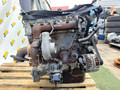 двигатель IVECO Daily 3 поколение (1999 - 2006), 3.0 л., F1CE0481B, дизель, F1CE0481, F1CE, F1CE0481B - фото №3