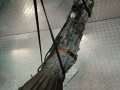 КПП механическая (МКПП) Suzuki Grand Vitara 1 поколение 2001, 2.5 л., i, бензин - фото №2