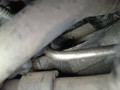 двигатель Volkswagen Passat B6 2006, 1.9 л., TDi, BKC, дизель, МКПП, передний привод, BXE, BKC - фото №6