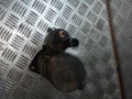 стартер Audi A4 B6 2003, 1.9 л., TDi, AVF, дизель, МКПП, передний привод, D7GS9, AC068911024L - фото №6