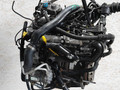двигатель Renault Clio 3 поколение 2008, 1.2 л., i, D4F 784, бензин, МКПП, передний привод, D4F784 - фото №3