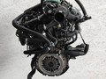 двигатель Renault Clio 3 поколение 2008, 1.2 л., i, D4F 784, бензин, МКПП, передний привод, D4F784 - фото №4