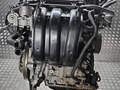 двигатель Volkswagen Polo 4 поколение [рестайлинг] 2006, 1.2 л., i, BME, бензин, 5МКПП, передний привод, CGP, BZG, BME - фото №4