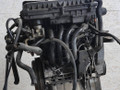 двигатель Volkswagen Bora 1 поколение 1998, 1.4 л., i, AKQ, бензин, МКПП, передний привод, AKQ - фото №5