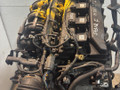 двигатель Ford Focus 2 поколение 2004, 1.8 л., i, QQDB, бензин, 5МКПП, передний привод, QQDA, QQDC, QQDB - фото №5